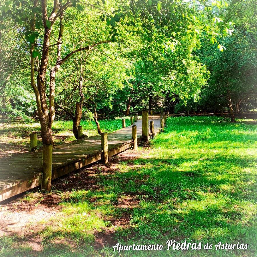 Piedras De Asturias Apartment Winona Bagian luar foto
